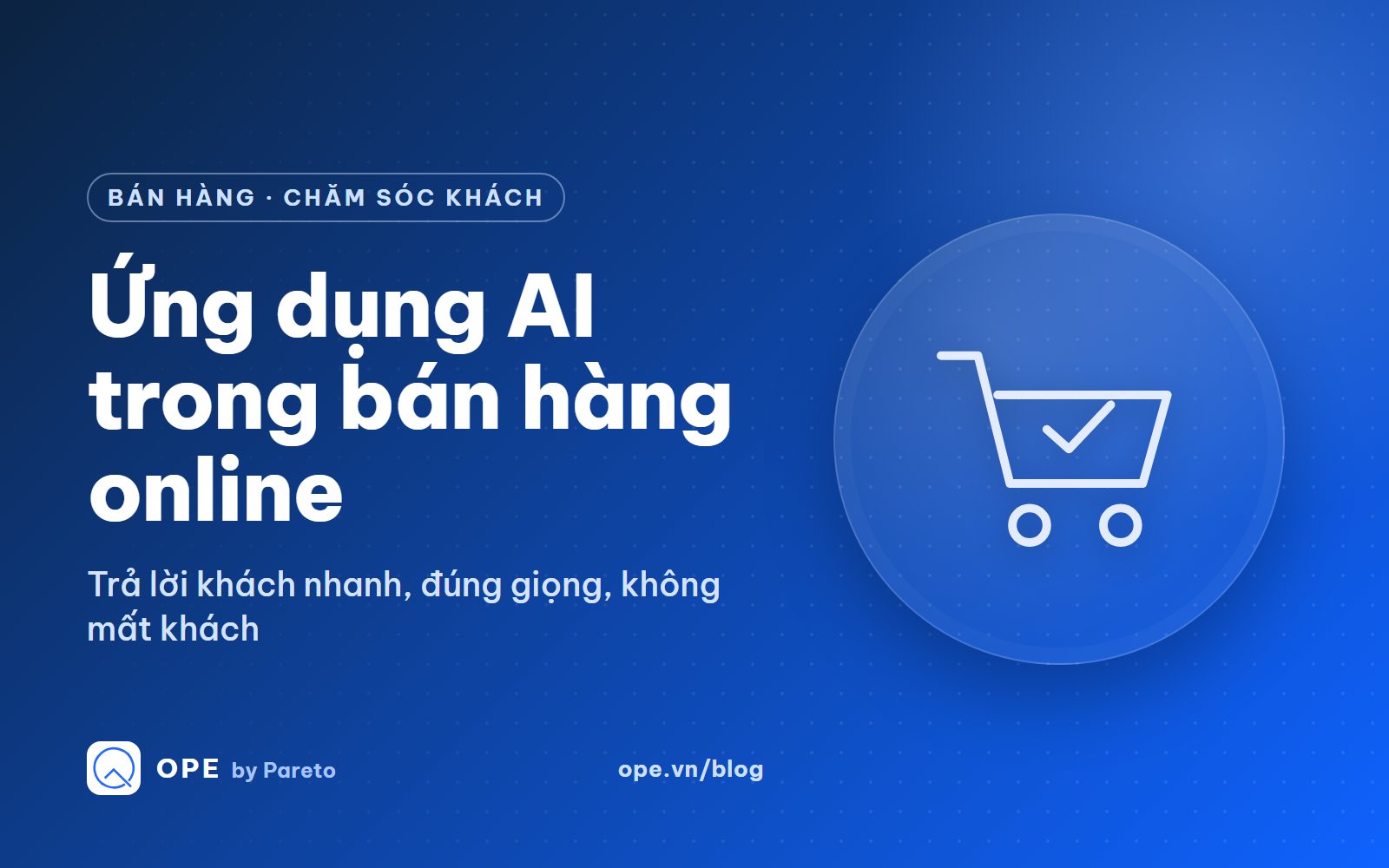Ảnh bìa: Ứng dụng AI trong bán hàng online và chăm sóc khách hàng qua Zalo